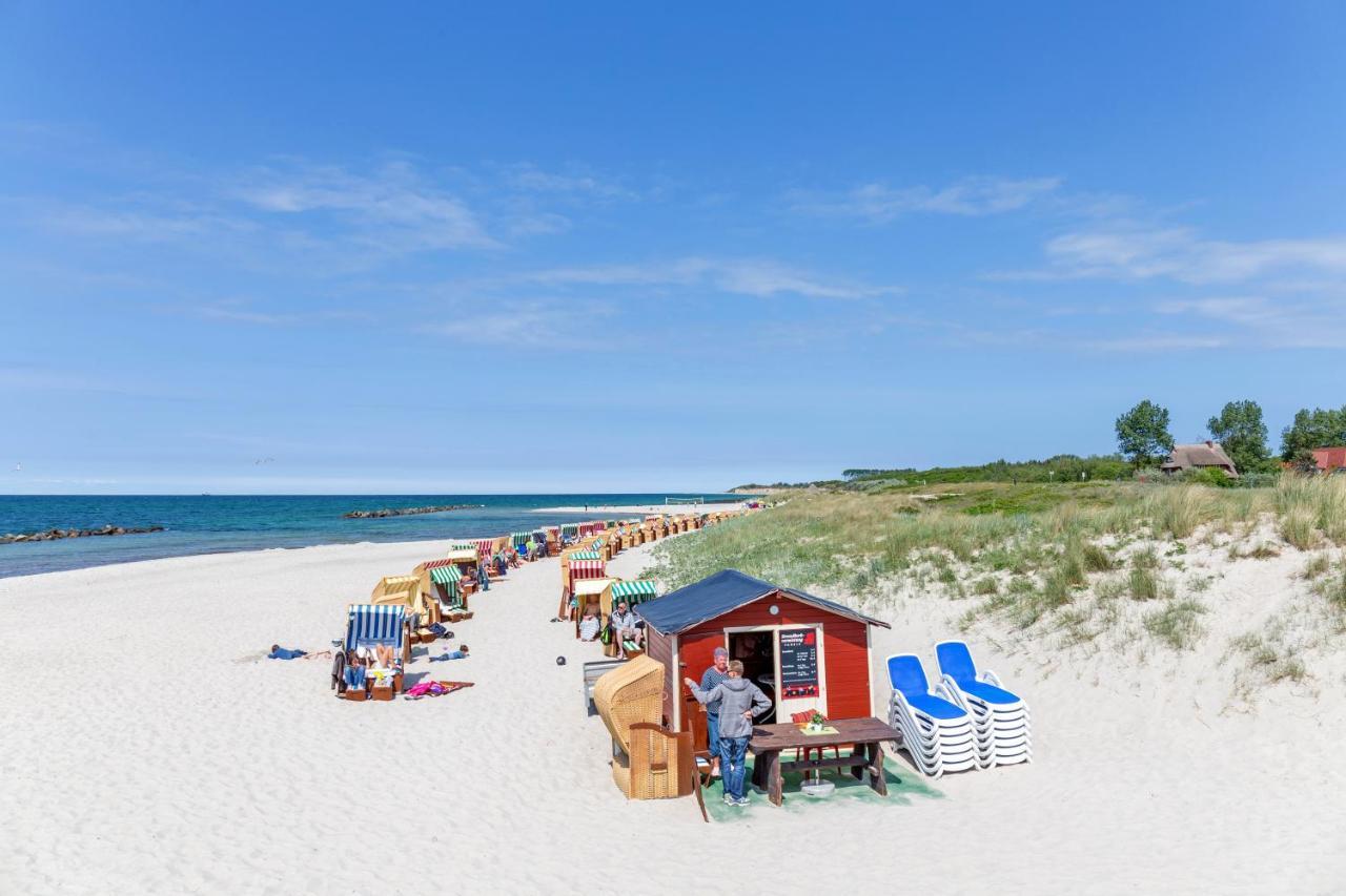 Seebrise Ostseeheilbad Ostseeheilbad Zingst Exterior foto